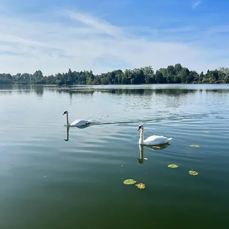 Le Refuge Du Fechain